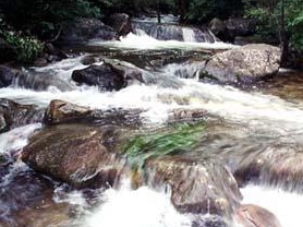 ������ɽ���Ҽ���Ȼ������