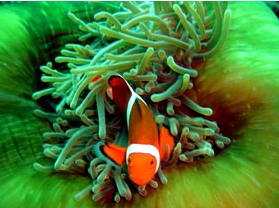 �����䲳����ͯ����