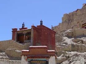 �Ÿ�����