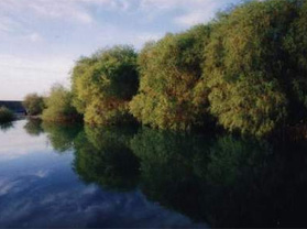 ���ݲ����ذ�������η羰��