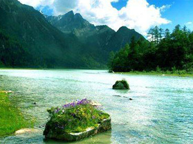 ������˼�����ζȼ���