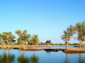 塔里木河与塔克拉玛干游览区