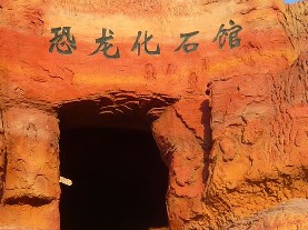 硅化木-恐龙国家地质公园