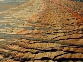 ��ľ����Զ�Ŷ��ﻯʯ