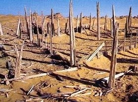 �����˰�����ʳ�