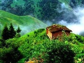 那拉提胜境森林公园