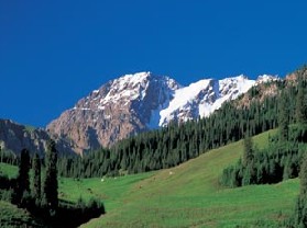 ѩ����ɼ��Ȼ������