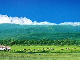 伊梨州那拉提草原旅游区