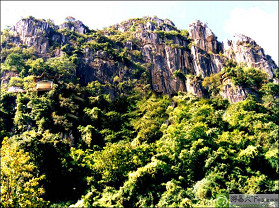 ������԰