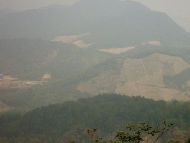 ���ɽɭ�ֹ�԰