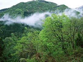 仙霞山