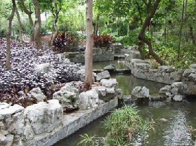 ������կ��԰